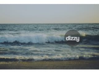 Details : DIZZY - Custom Bodyboards
